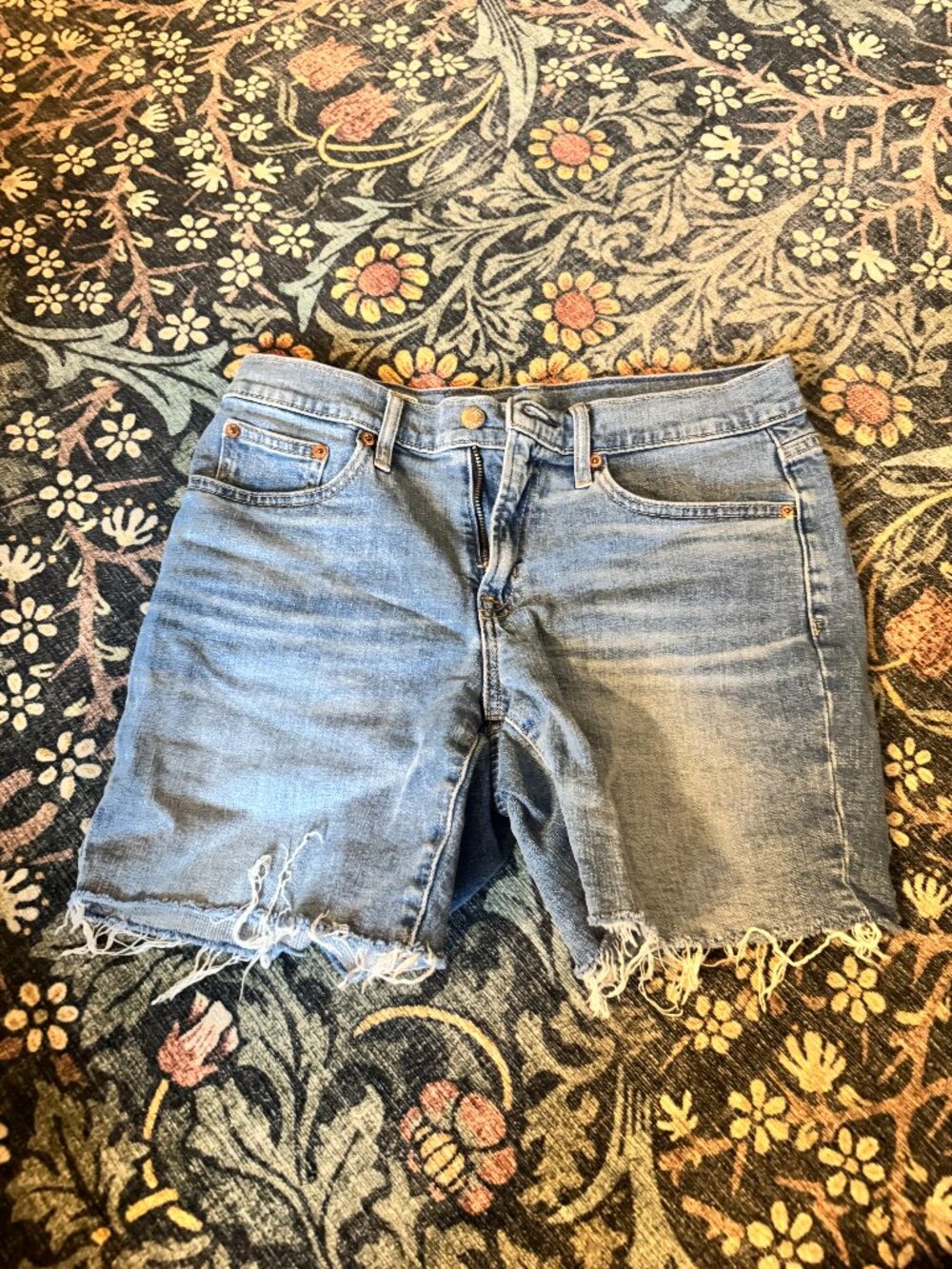 Gap Jean / Denim Shorts Size 26 / 2R